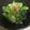 すうぃてぃ's cooksnap of when they made 青梗菜のお浸し♪.