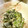 fndcb837's cooksnap of when they made ちゃちゃっと簡単★白和え★我家流.