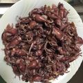 おくとぱすがーでん's cooksnap of when they made ホタルイカのゆで方.