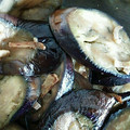 かぴーな's cooksnap of when they made ナスの簡単生姜やき.