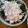 モコ119's cooksnap of when they made やみつき☆ たらこマヨネーズの山芋短冊.