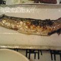beruhime's cooksnap of when they made フライパンで☆さんまの塩焼き.