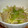 毎日おいしく♪'s cooksnap of when they made 豚バラと白菜とモヤシの重ね蒸し.