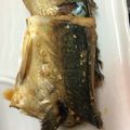 むこここ's cooksnap of when they made 給食風♡さばの味噌煮.