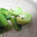 トクライ's cooksnap of when they made 超簡単★そらまめ★カエル.