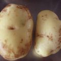 mimiko10's cooksnap of when they made 新じゃがを美味しく食べる方法.