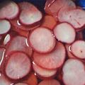 モモとら's cooksnap of when they made 二十日大根の酢漬け.