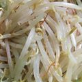 かお1200's cooksnap of when they made もやしの超カンタン中華風サラダ.