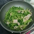 あや＠料理初心者's cooksnap of when they made 風邪予防★簡単★豆苗と豚肉炒め.