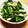 ぶ～のすけ's cooksnap of when they made 菜の花と油揚げの和え物.
