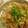 chiriri10's cooksnap of when they made 【一人暮らしのお弁当】そばめし.