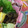 ぷりかお's cooksnap of when they made 簡単☆ちょっぴり甘めの牛肉の時雨煮.