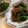 8itao8's cooksnap of when they made ﾁﾝｼﾞｬｵ風★ﾋﾟｰﾏﾝ&豚ﾛｰｽ炒め.