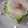 ぱど☆ちょ's cooksnap of when they made ちょっとオシャレな大根サラダ.
