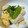 クックTU56V6☆'s cooksnap of when they made 絹さやと鶏むね肉のあっさり炒め.