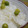 まきーこー's cooksnap of when they made おいしい豆ごはんの炊き方.