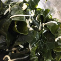 ＊トイ＊'s cooksnap of when they made あっさり！わかめとえのき生姜浸し♪.