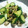 なおころピッコロ's cooksnap of when they made ｷｭｳﾘとしめじのごま油炒め.