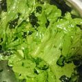 かめのたろう's cooksnap of when they made 焼肉のお供に☆簡単チョレギサラダ.