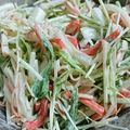 かめのたろう's cooksnap of when they made 水菜と新玉ねぎのサラダ.