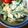 mikazukiママ's cooksnap of when they made スナップえんどうと卵の簡単〜サラダ★.