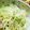 クックJ005GY☆'s cooksnap of when they made たけのこのペペロンチーノ♪.