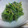 ゆままやたん's cooksnap of when they made ほうれん草練り胡麻和え.