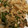なめネコ's cooksnap of when they made 厚揚げとピーマンのめんつゆ炒め.