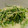 Tama家's cooksnap of when they made 水菜のオイマヨ炒め.