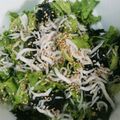 未来ｍｏｔｈｅｒ's cooksnap of when they made レタスとしらすの韓国海苔和えサラダ.