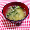 みんとこ's cooksnap of when they made ワカメとネギの味噌汁.