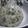 ふぁんたにゃん's cooksnap of when they made 青のり明太子の彩りおにぎり♪.