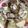 味魔女's cooksnap of when they made あさりのあっさりうどん♪.