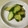 h☆samemoon's cooksnap of when they made 簡単　きゅうりの漬け物.