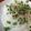 じゅっちャんママ's cooksnap of when they made ヘルシー！鮭の中骨缶の新玉ねぎのせ！.