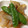 kinako10's cooksnap of when they made 筍と新玉ねぎの卵とじ.