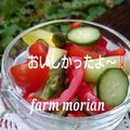 もりあん農園's cooksnap of when they made 夏野菜のカラフルサラダ.