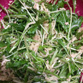 ☆おじゃるまる's cooksnap of when they made 私の切り干し大根と水菜のサラダ.