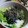 ka17p's cooksnap of when they made 満足サラダ♡レタスとろろと塩昆布が美味♡.