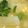 まっちゃぷりん♪'s cooksnap of when they made 簡単★ケンタッキー！リサイクル白湯スープ.