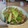 サーフブレイド's cooksnap of when they made 豚肉とたまねぎのぽん酢炒め.