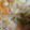 花゜pannaパンナ's cooksnap of when they made 春キャベツと厚揚げのみそ炒め.