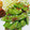 クックP3Z5B5☆'s cooksnap of when they made ごま油香る！絹さやとじゃこの和え物.