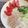 スピッツLOVE's cooksnap of when they made しっとり♪ゆで鶏(プレーン&ハーブ).