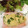 mitinee's cooksnap of when they made ◆鮭のムニエル◆さつまいも粒マスソース.