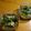 ちえりんこ's cooksnap of when they made 簡単オイルサーディン☆.