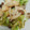 YujiTtr's cooksnap of when they made しめじと白菜の野菜炒め.