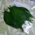 nyangomama's cooksnap of when they made 桜の葉っぱの塩漬け.