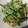P太郎ママ's cooksnap of when they made 簡単⭐中華クラゲの和え物.