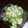 mizutama☆☆'s cooksnap of when they made おからサラダ.